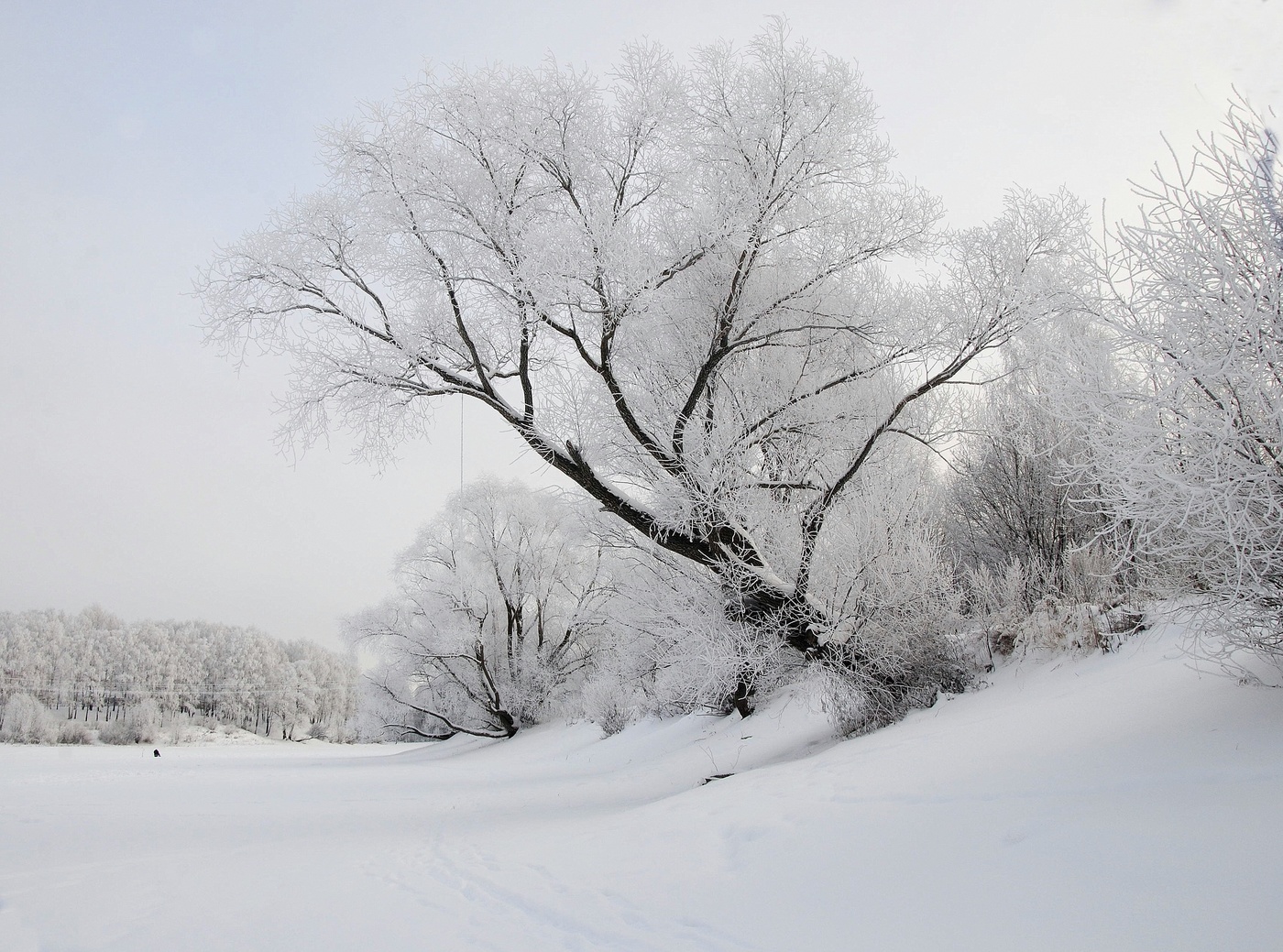 Зимний пейзаж стал почти неземным.