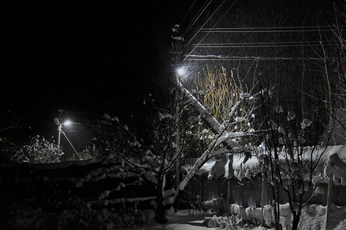 Ночной этюд ...