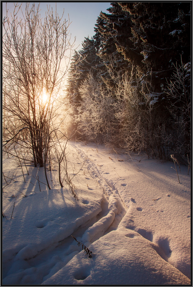 Зимнее настроение...