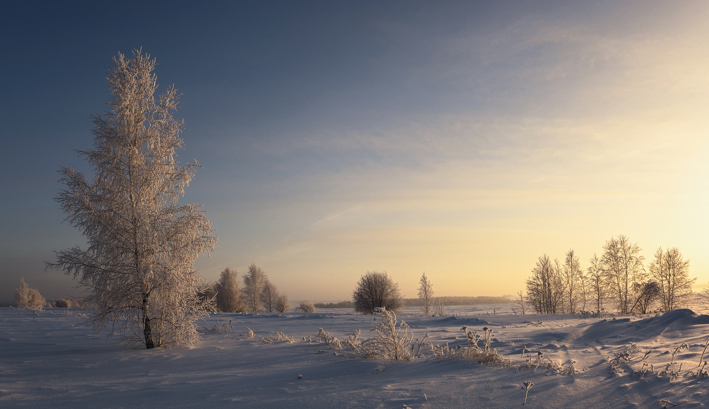 Под светом теплого заката