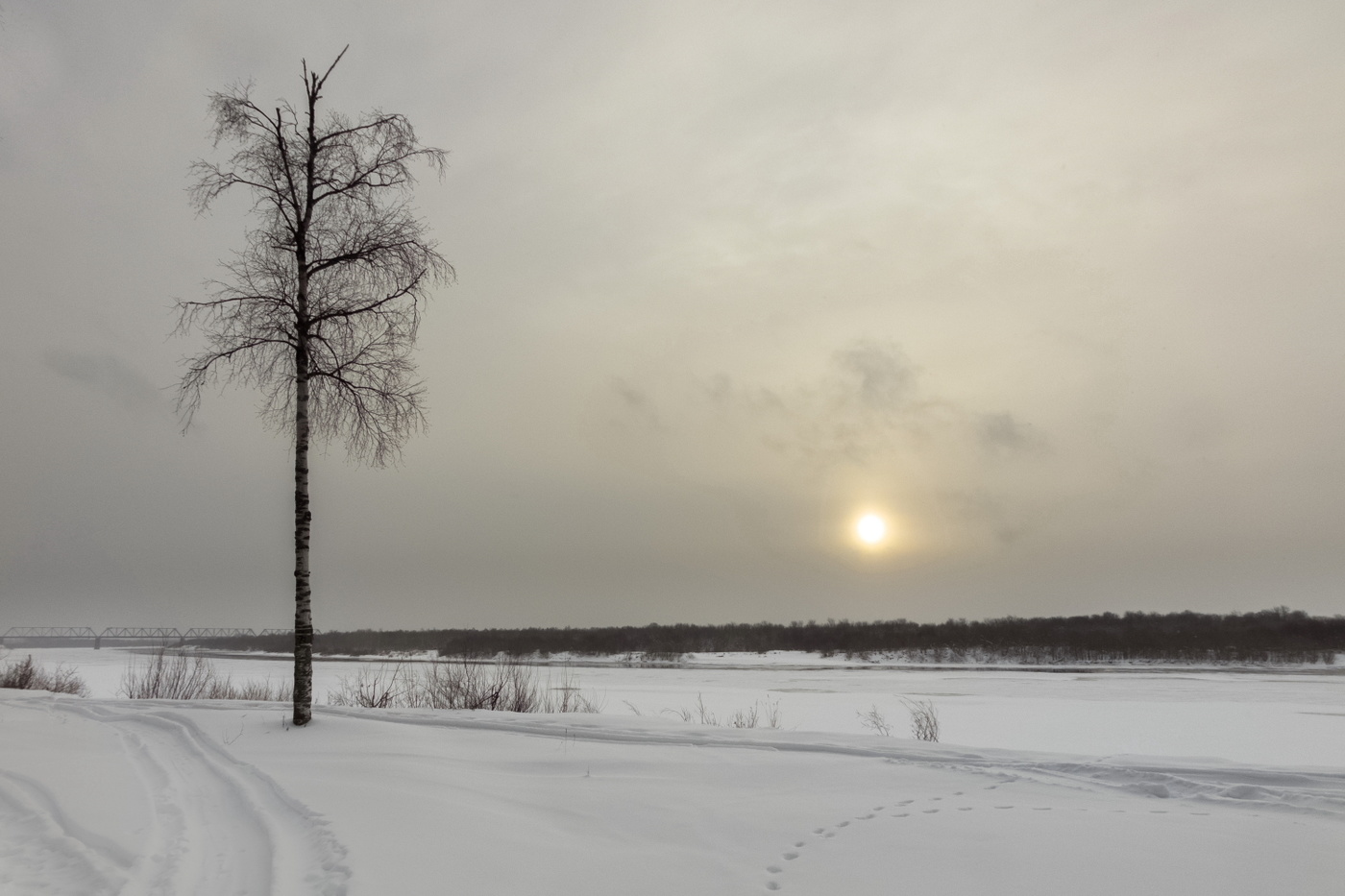 О смысле сущего