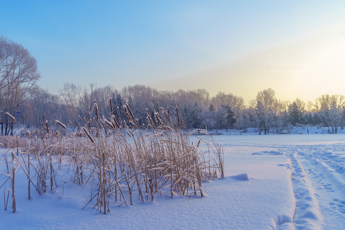 Зимнее утро 1