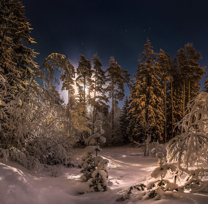 Рождественская ночь