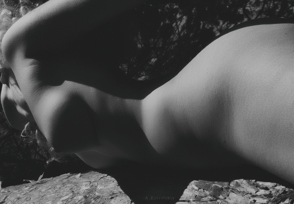 Natural geometry in photography. Summer mobile studio.