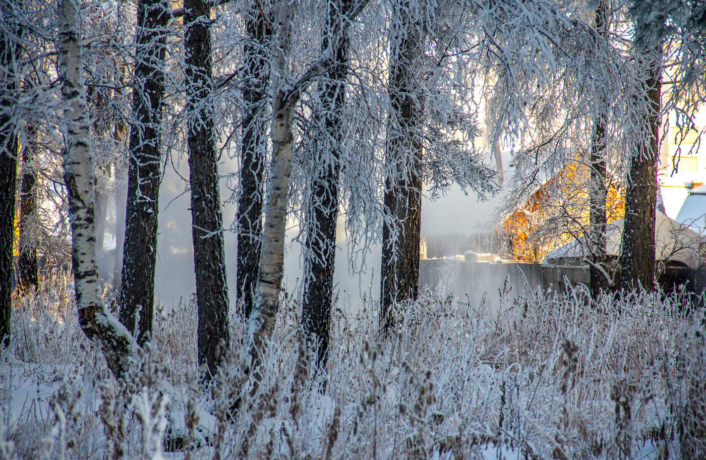 С Рождеством!!!
