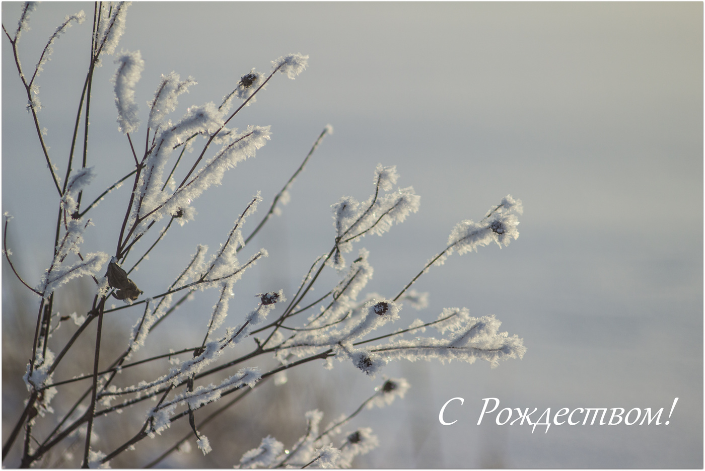 С Рождеством!