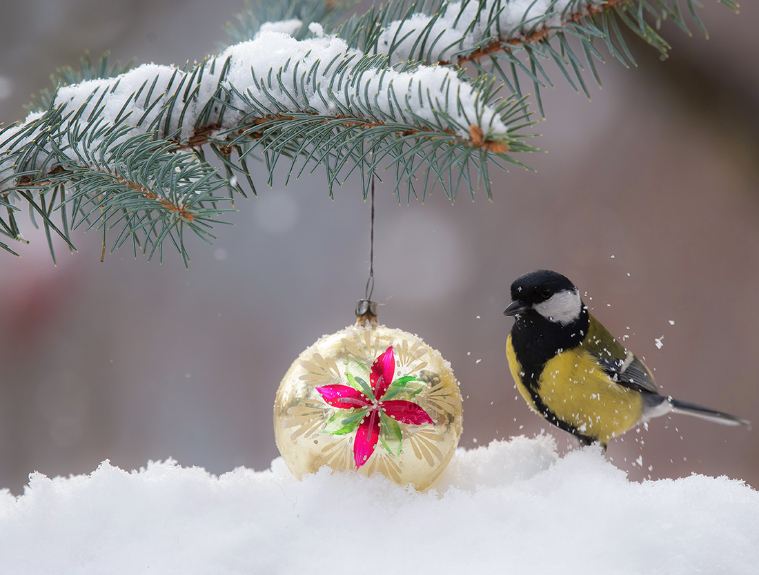 С Праздником!