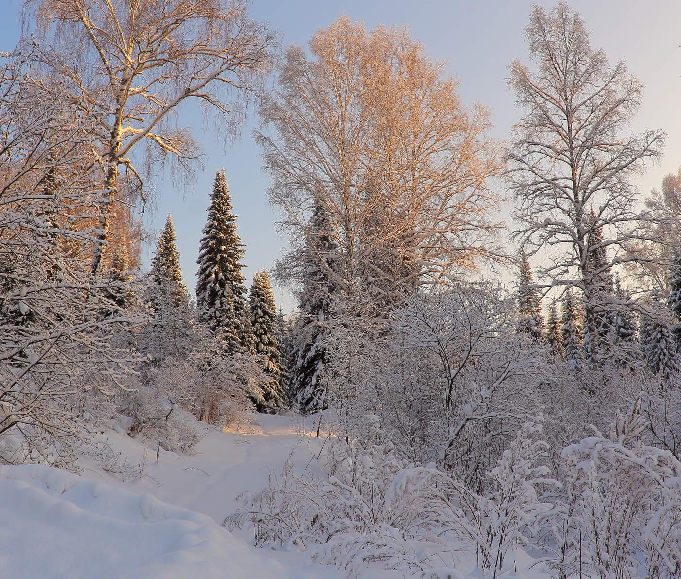 Сибирская тайга зимой прекрасна