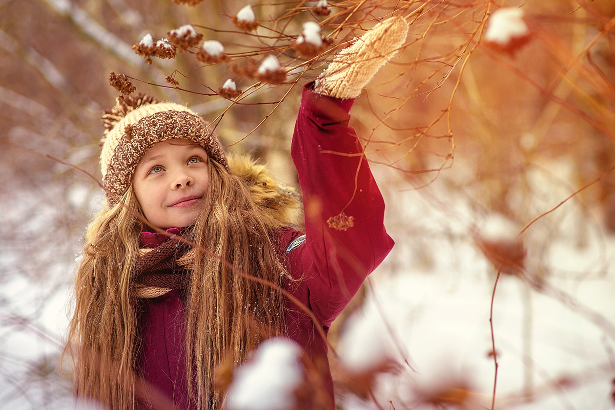 Декабрьский день