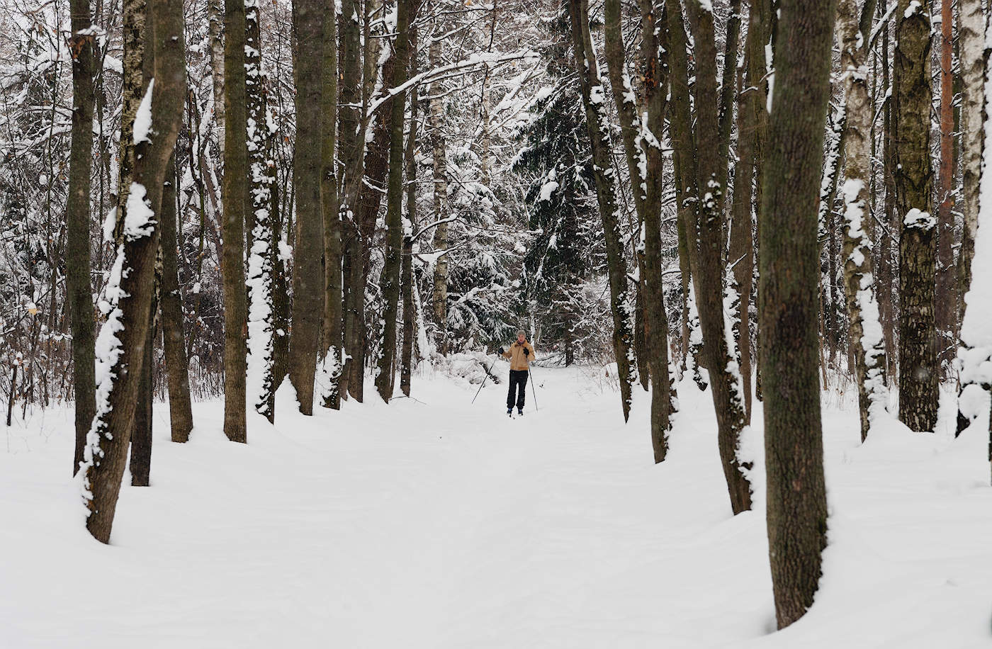 Рождественская лыжня