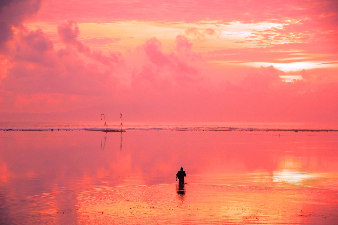 Розовое утро