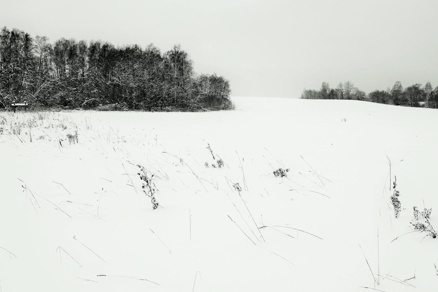 Пейзаж за окном ...