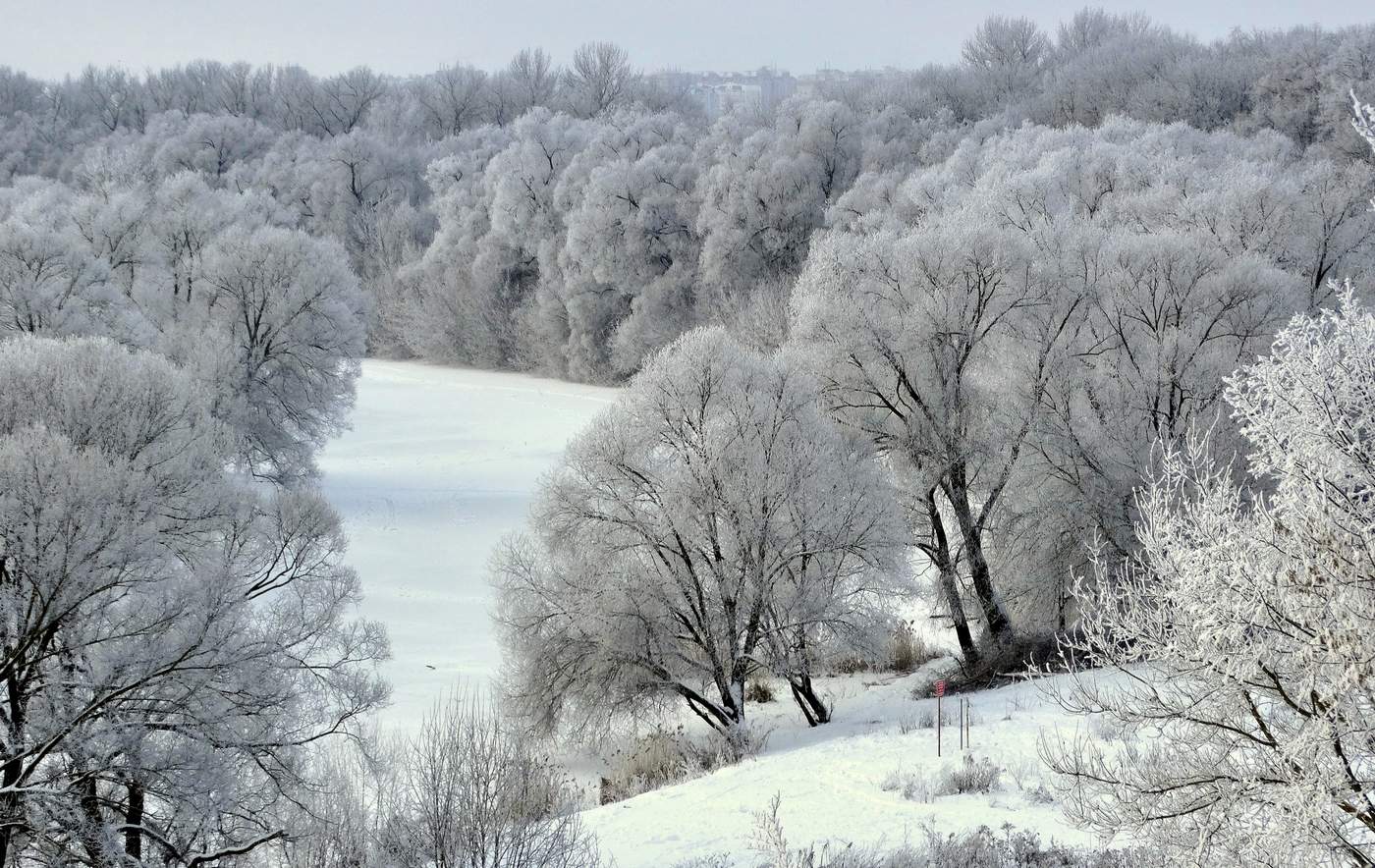 По деревьям серебристая перекинулась фата