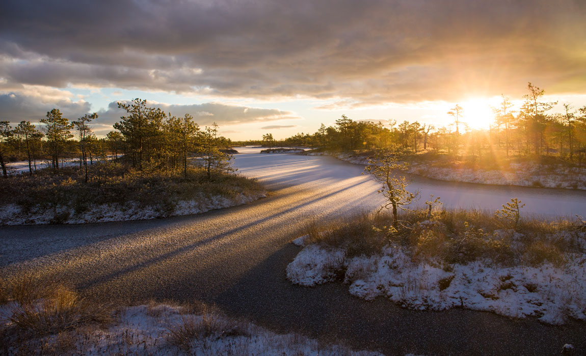 Свет нового дня