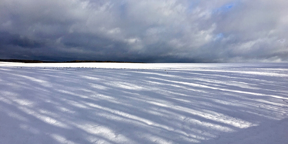 Тени на снегу