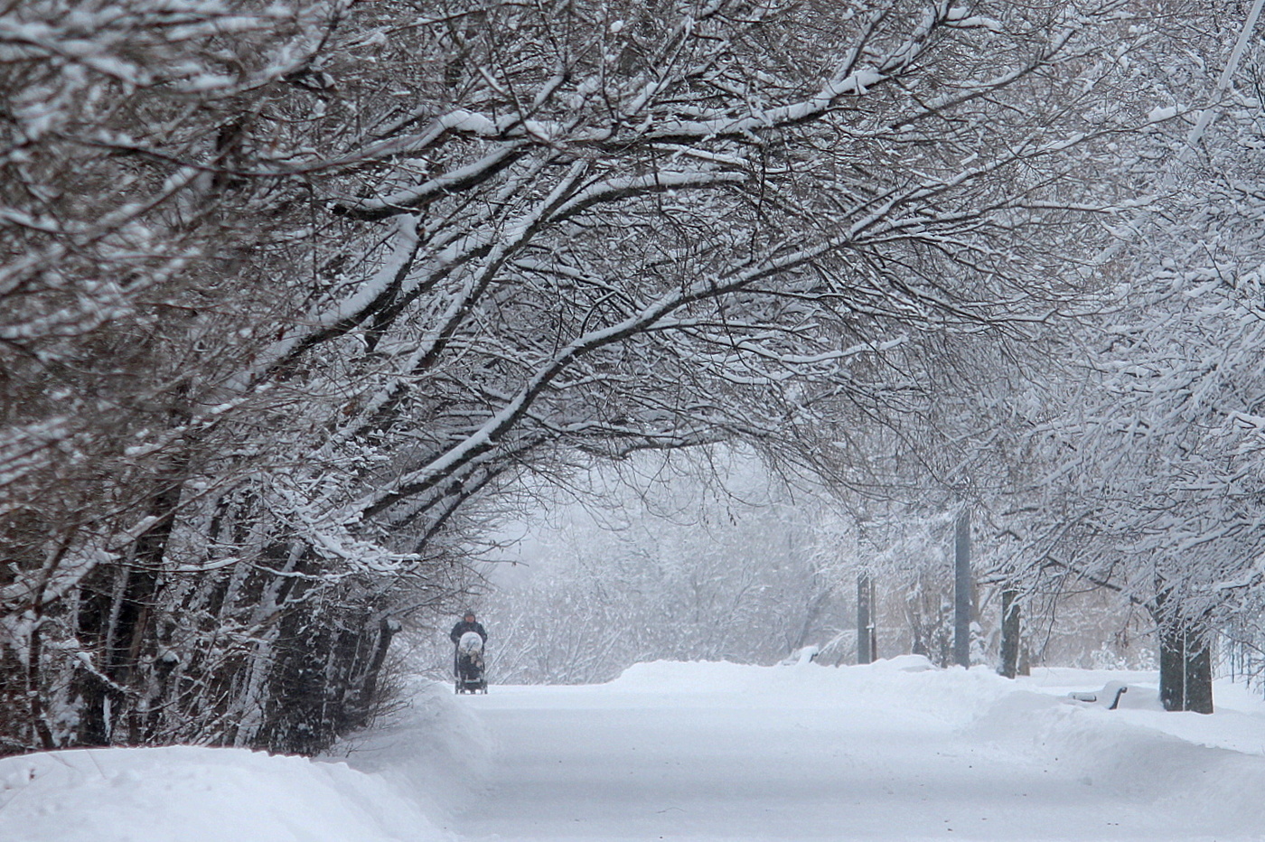 Зимние картинки
