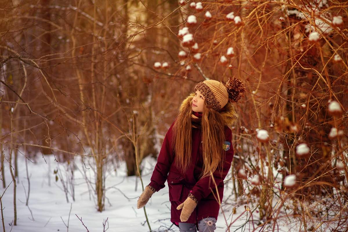 В поисках лесных зверей