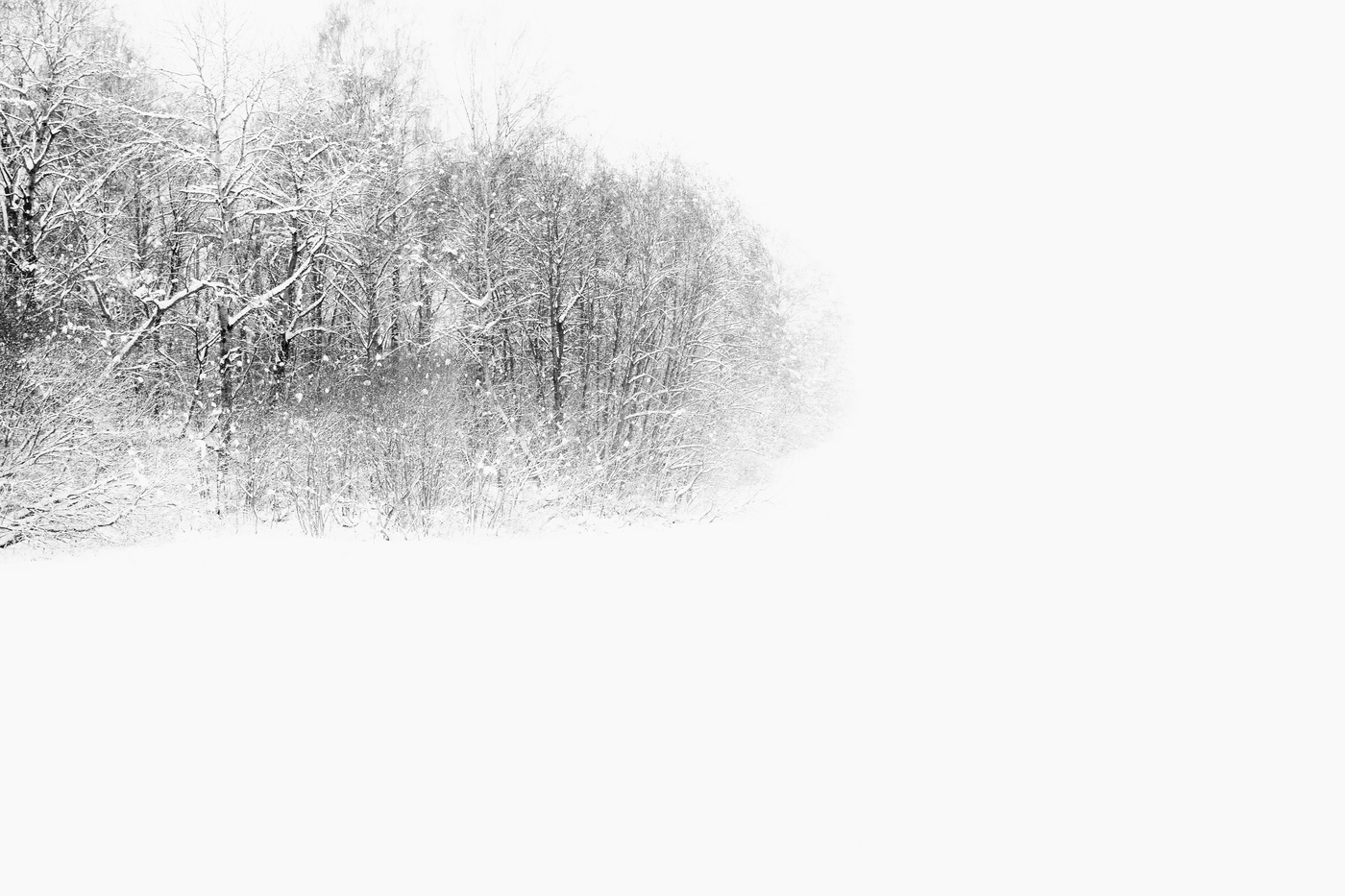 "Метельный полог даль завесил ..."