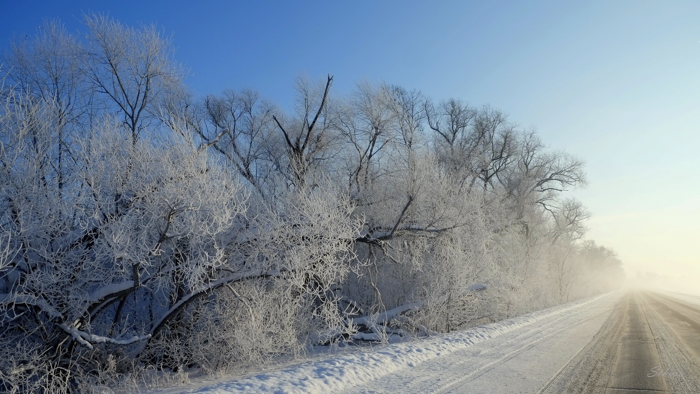 По дороге домой.