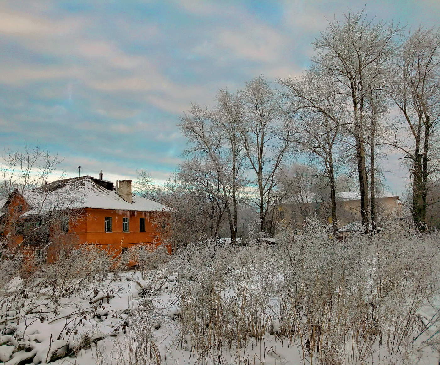 Когда деревья большие..