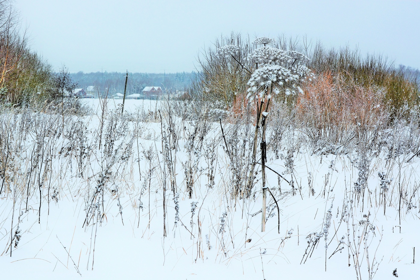 Деревушка вдали ...