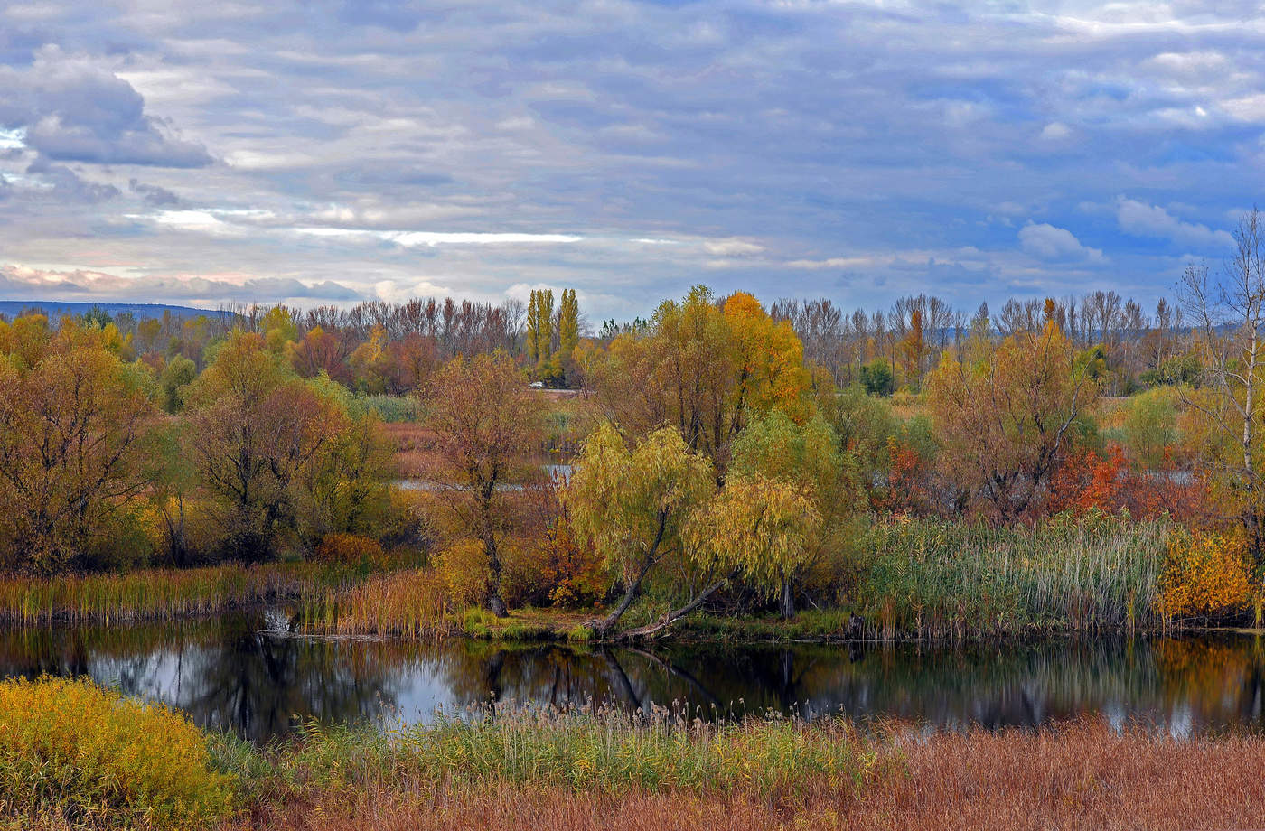 Палитра осени.