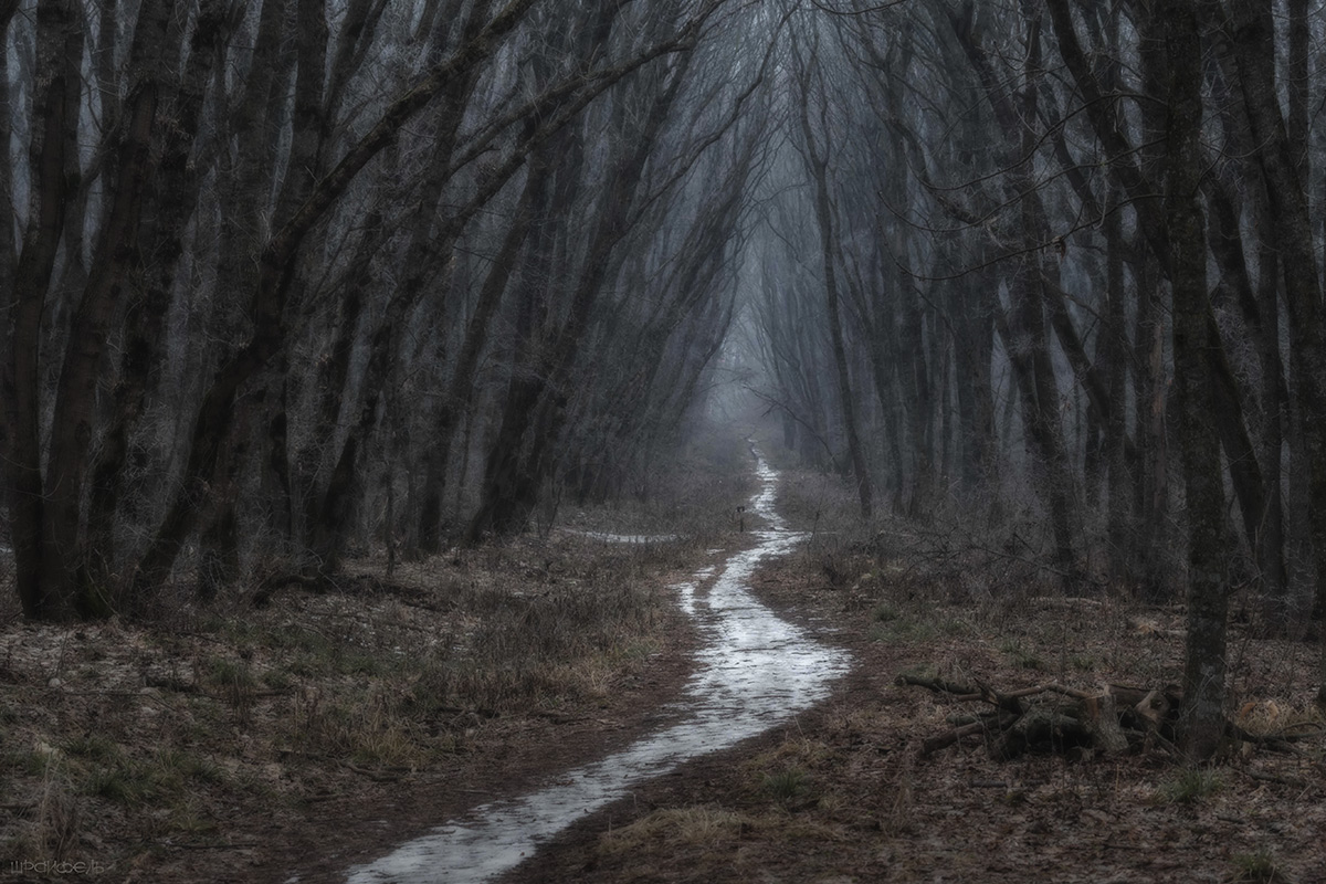 Камо грядеши