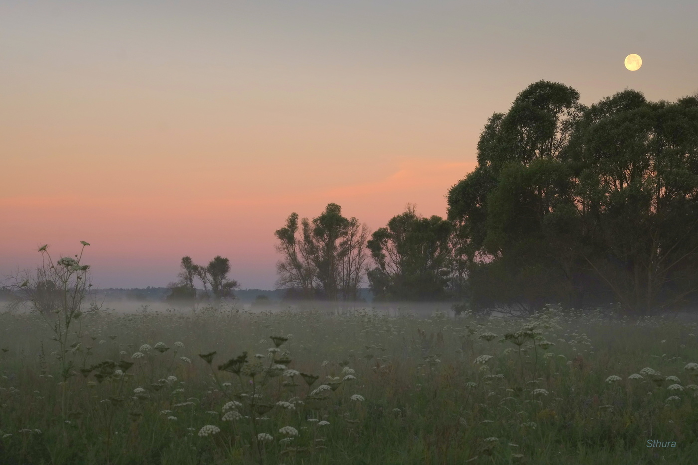 Туманное утро.