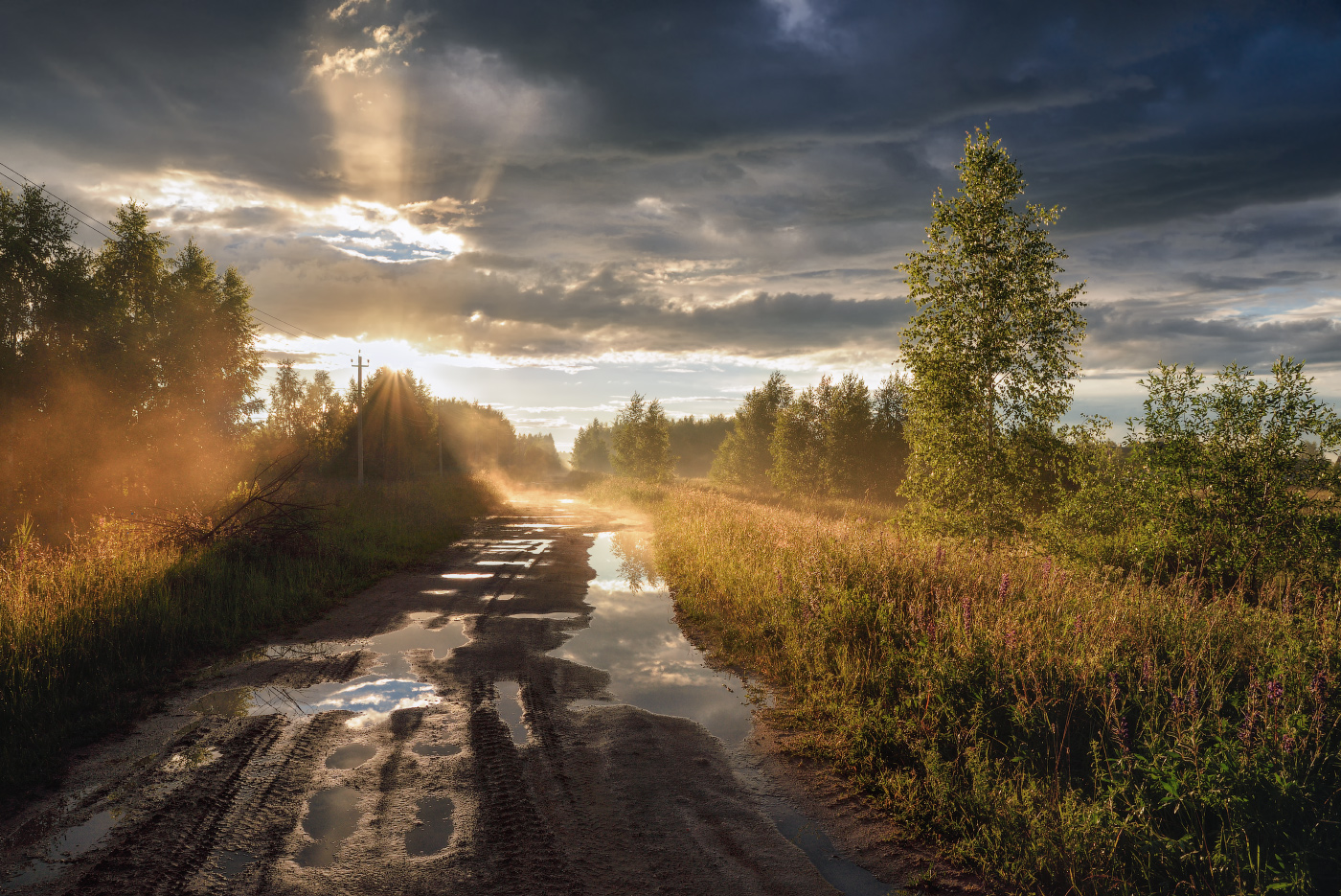 после летнего дождя