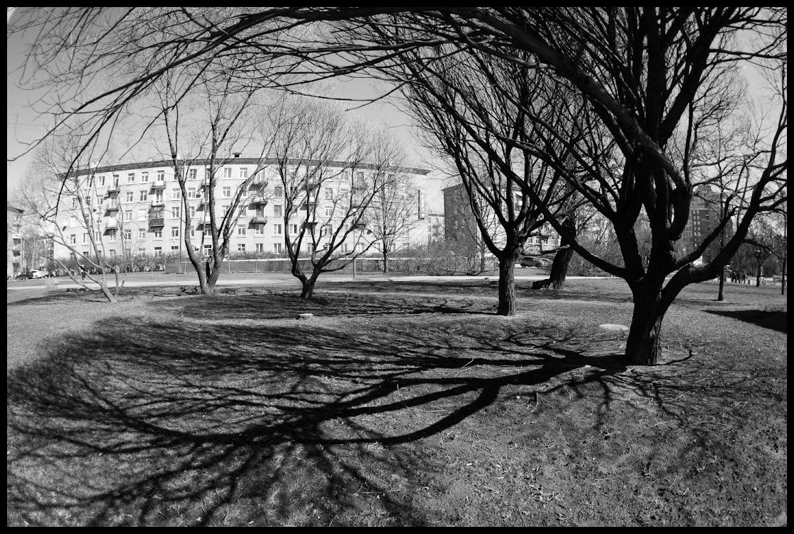 Черная речка