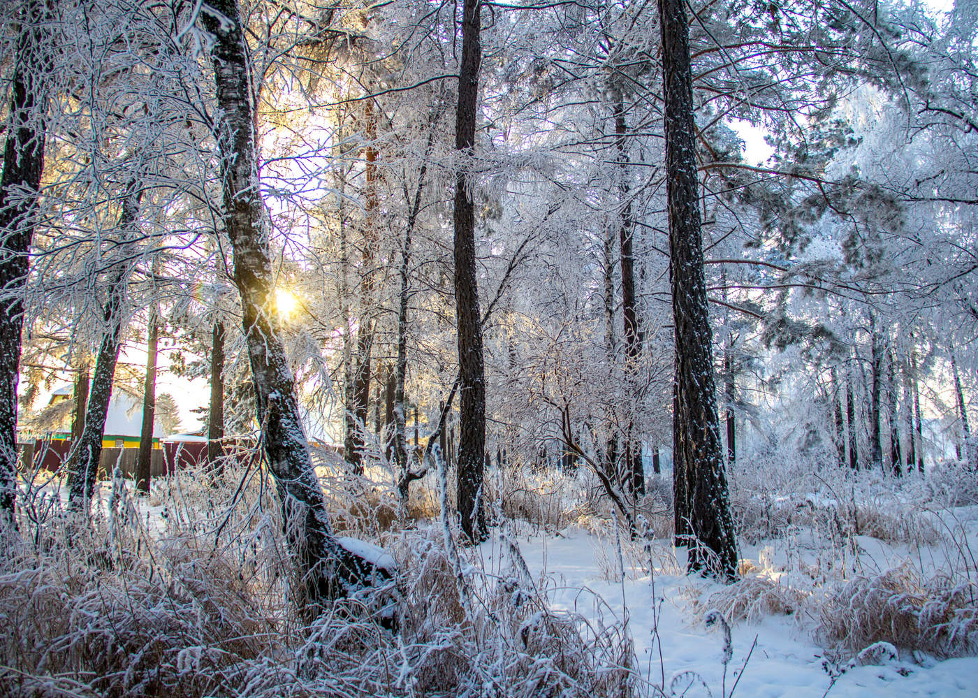 Январь 2019г.