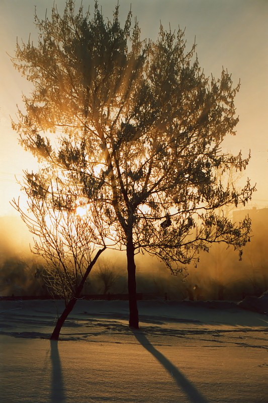 Солнечный проблеск