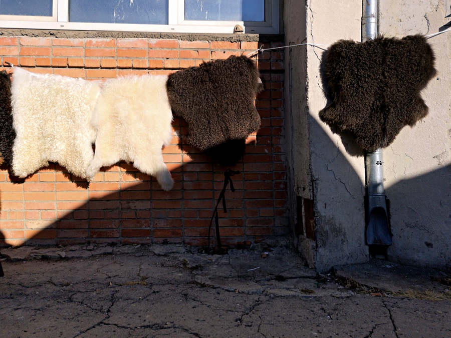 Солнечный проблеск