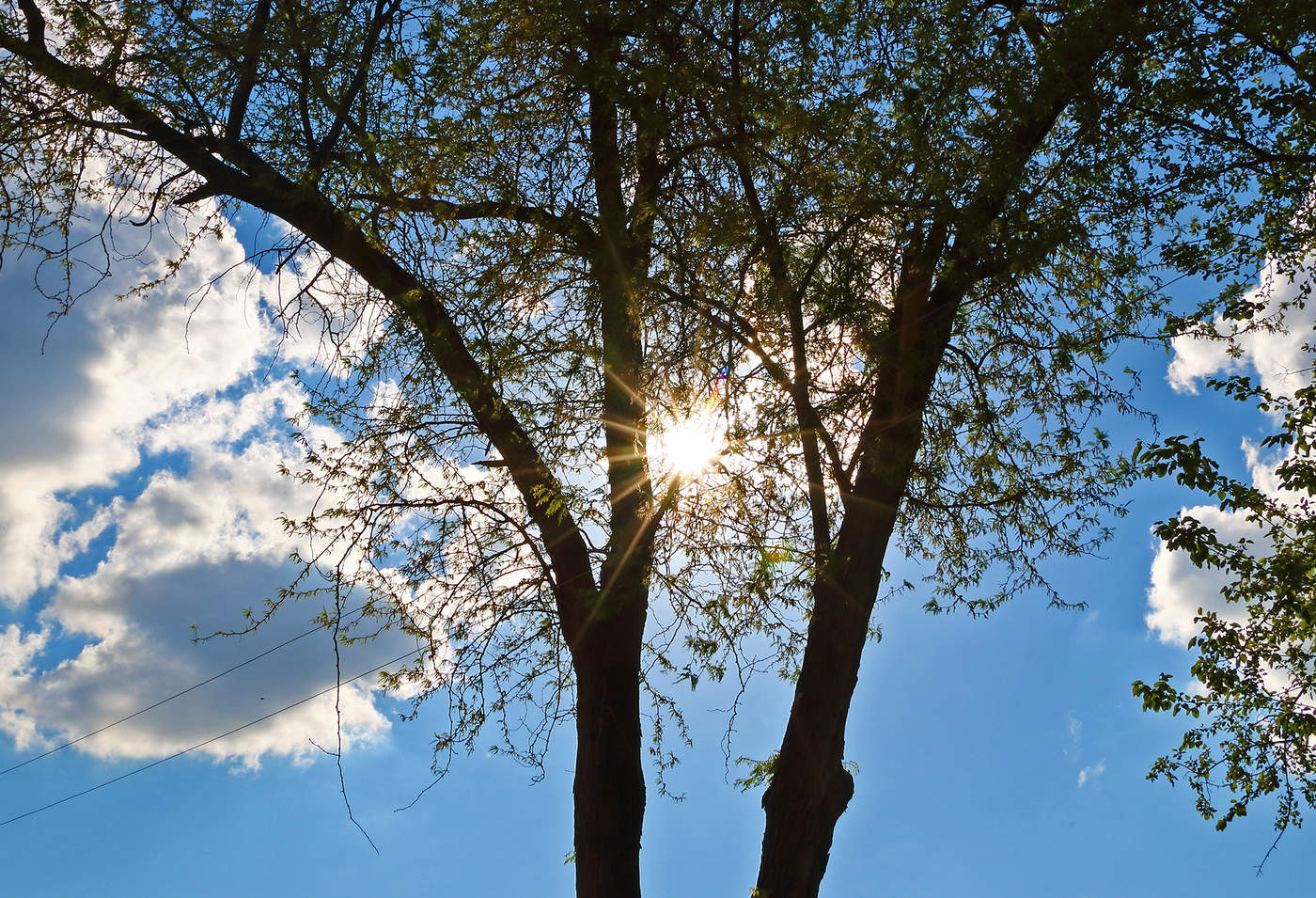 Солнечный проблеск