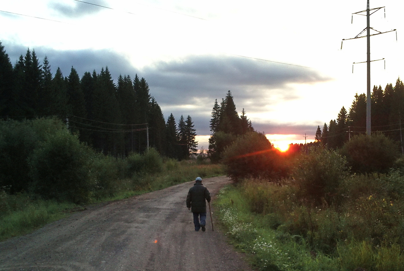 Солнечный проблеск