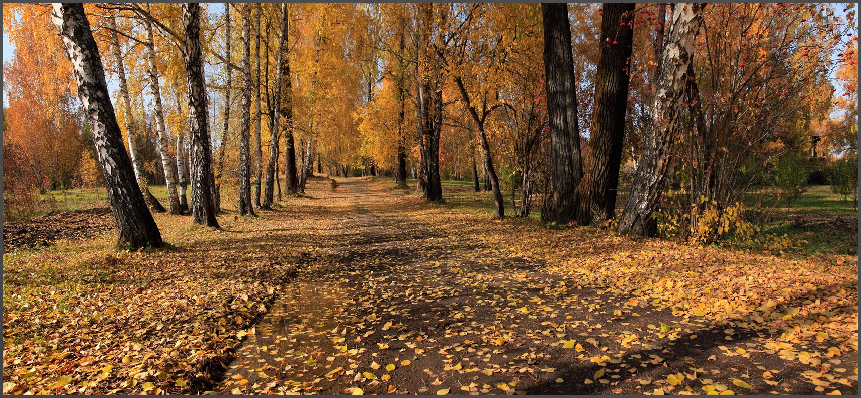 В осеннем саду