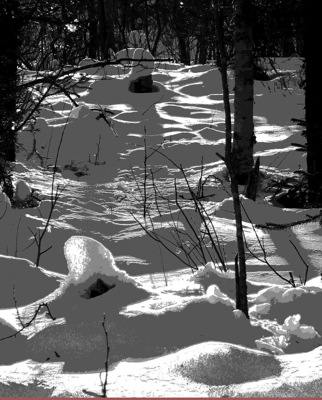 Солнечный проблеск