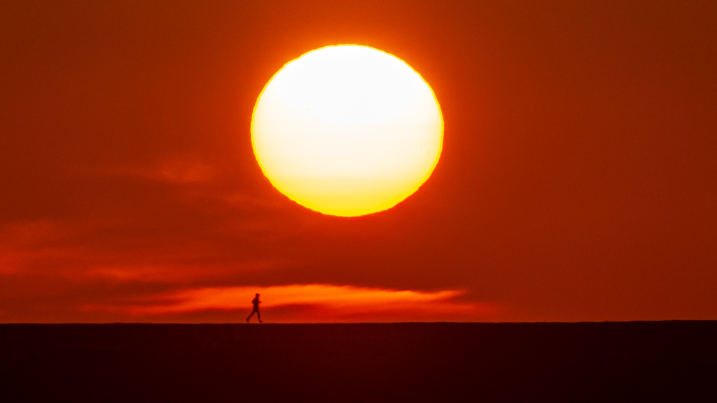 Жизнь вокруг