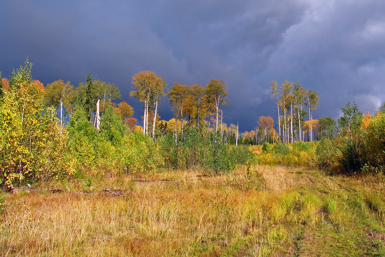Солнечный проблеск