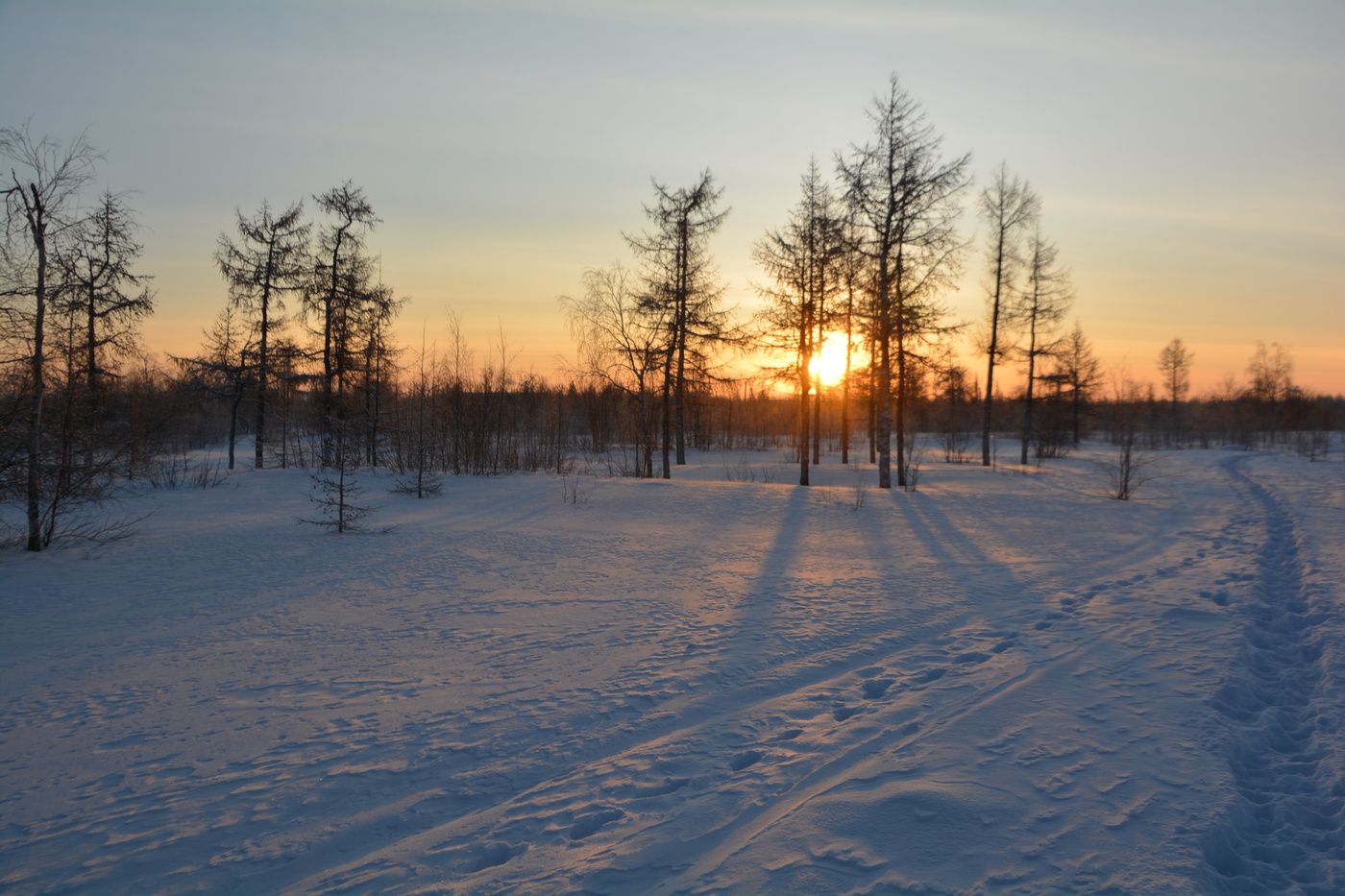 Солнечный проблеск.