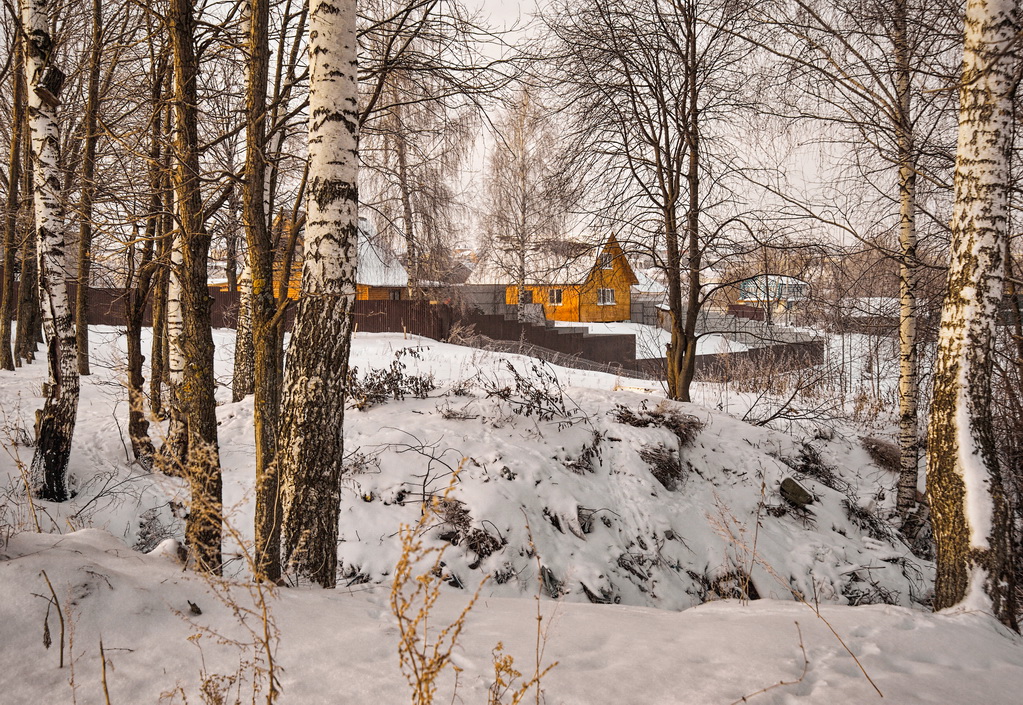 У берез на краю