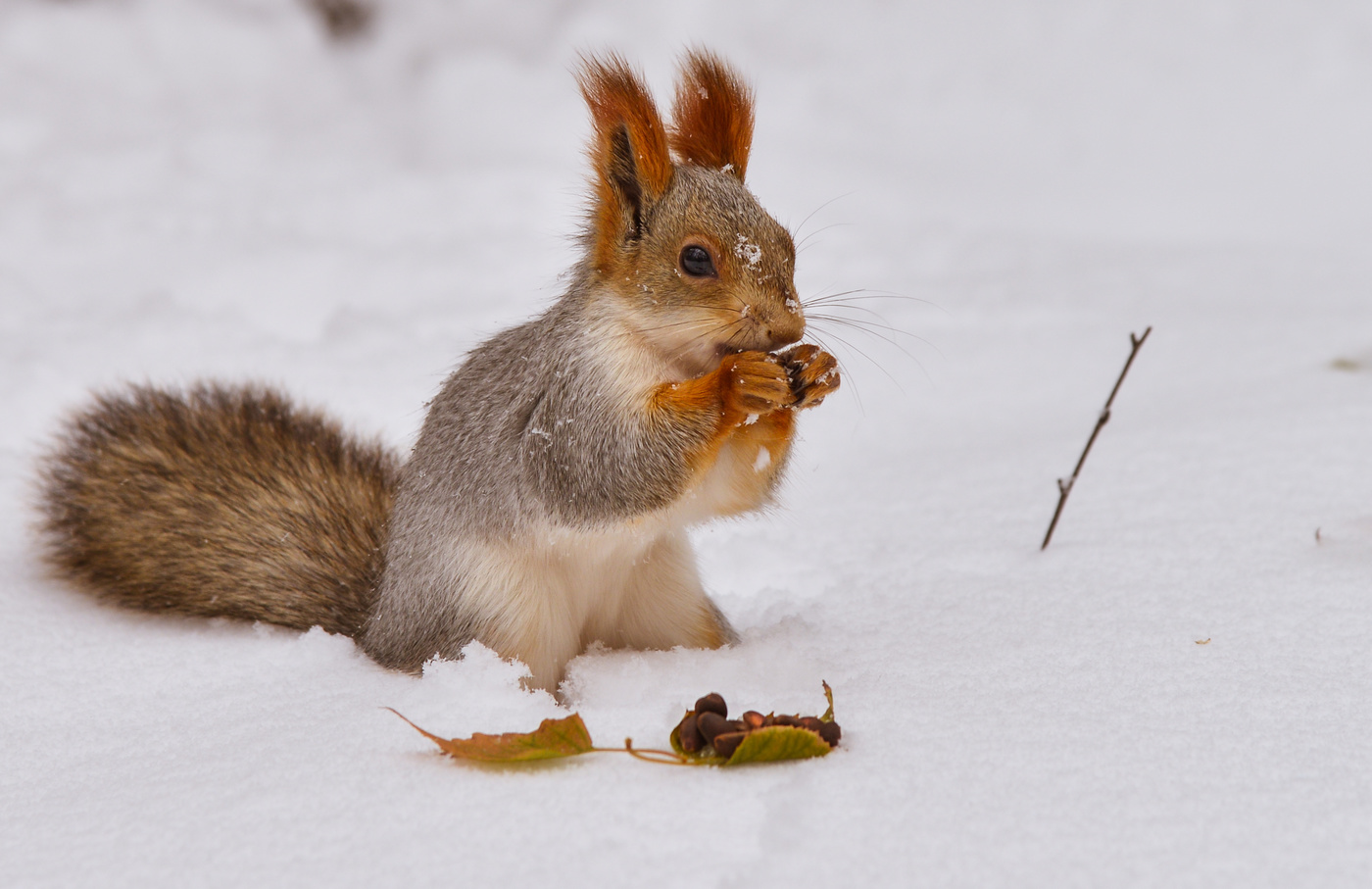 кушать подано