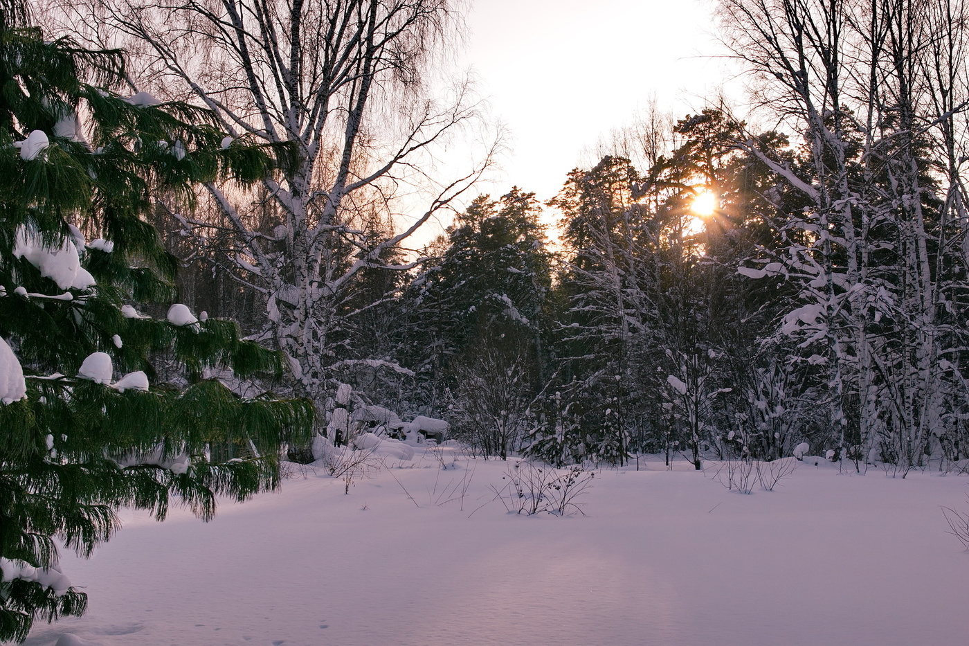 Солнечные проблески.
