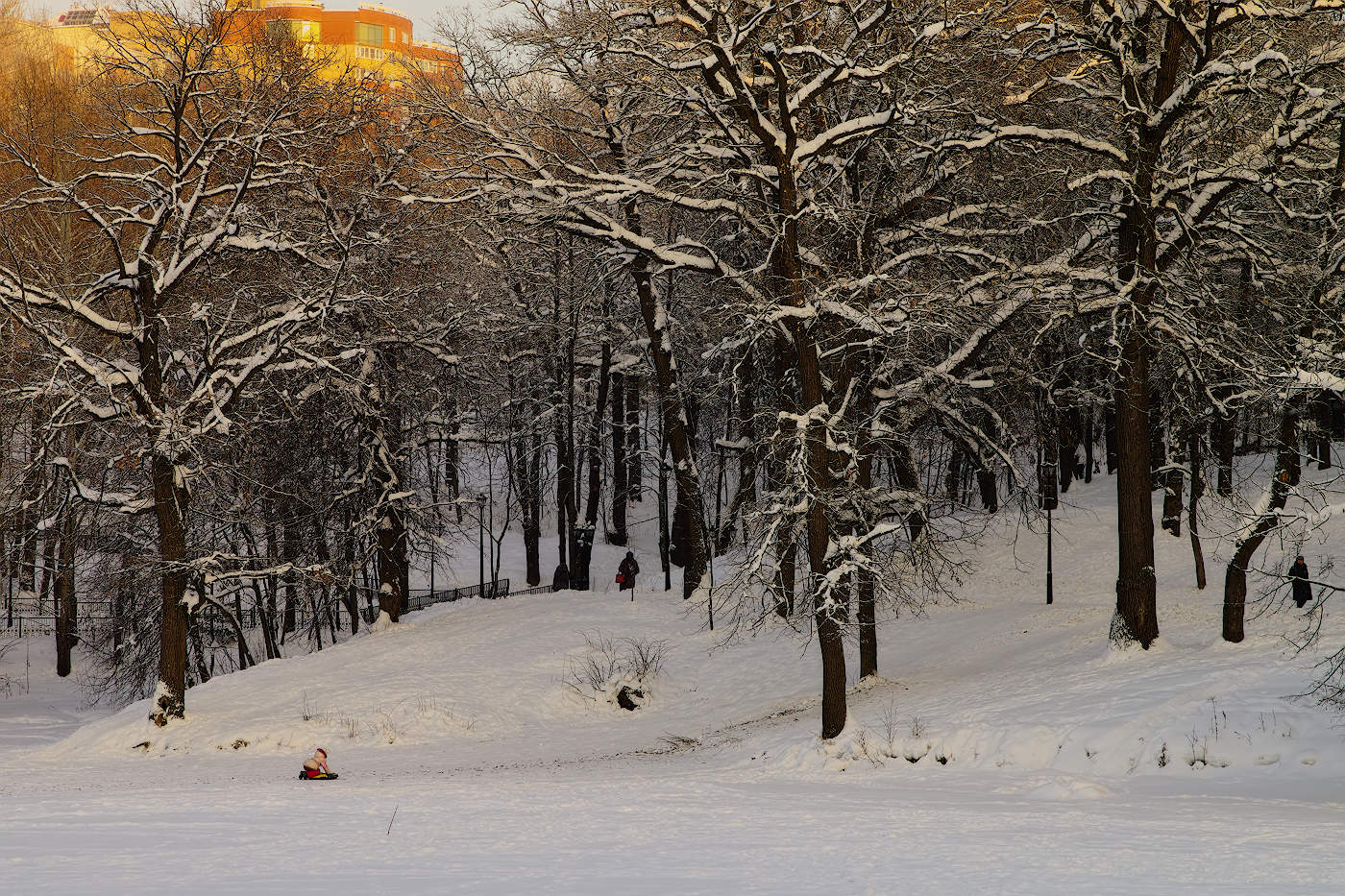 На снежной горке