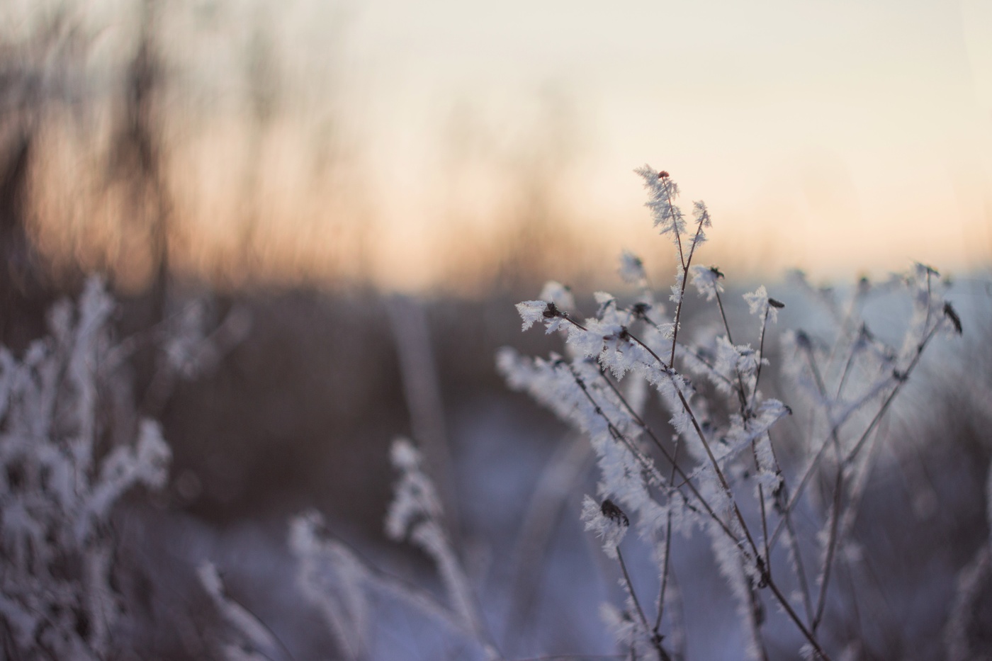 нежный закат