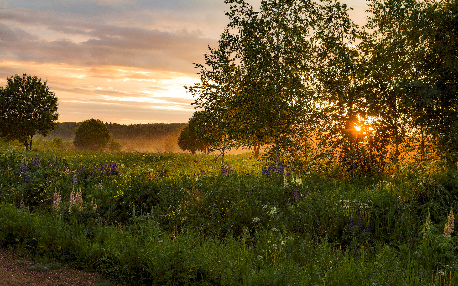 мимо проходил