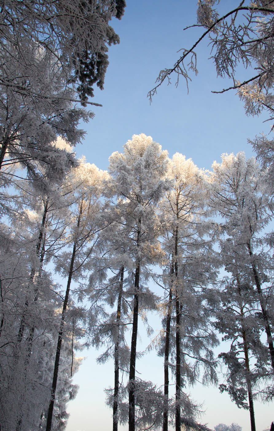 Верх к небу