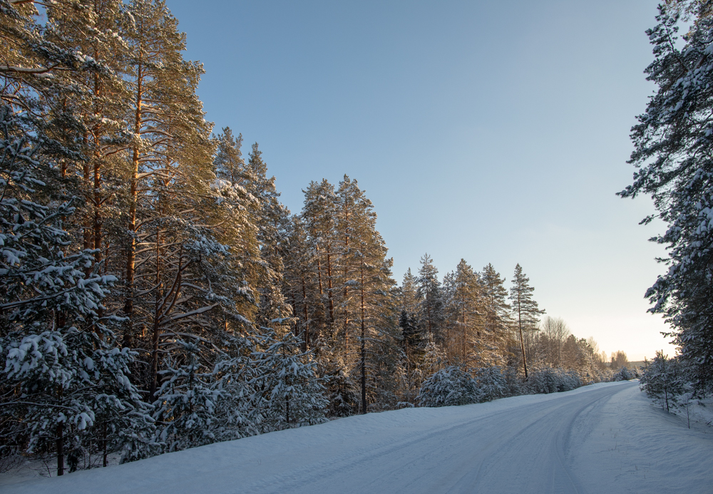 У лесозавода