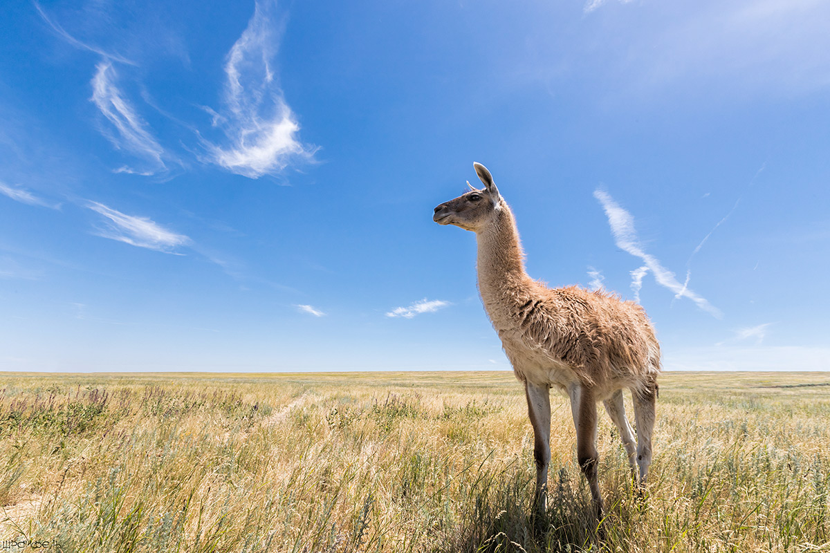 Под жарким солнцем