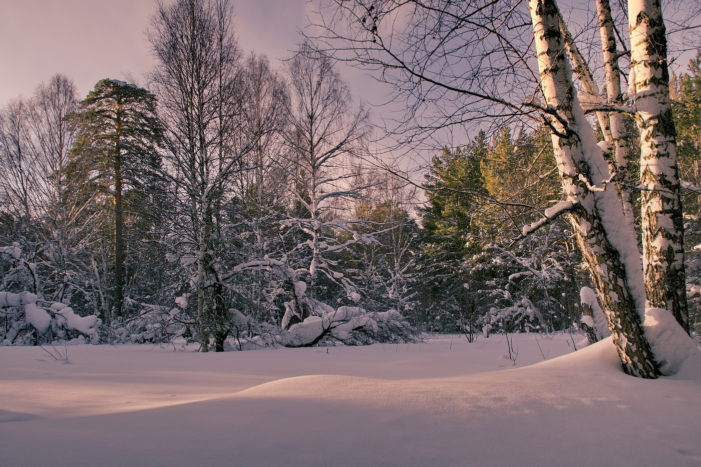 Морозным днём.